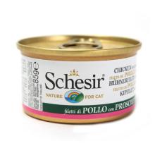 寵物食品銷售 趨勢(shì)、機(jī)遇與品牌制勝之道