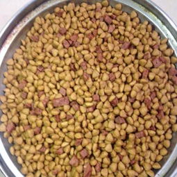 年貨囤糧正當(dāng)時(shí) 肉粒狗糧1:4添加，全犬期特惠促銷開啟