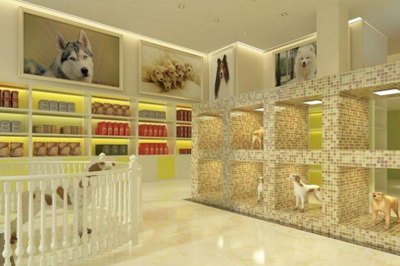 寵物店加盟哪家強(qiáng)？寵物食品銷售全解析